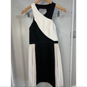 Black & White BCBG Mini Dress